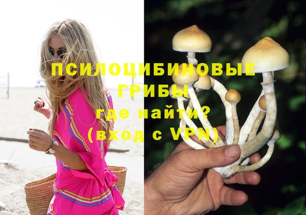 бутират Ладушкин